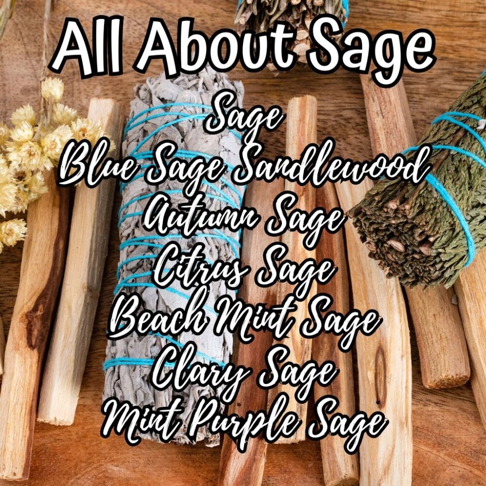 Aromatherapy Oil Diffuser Oil Home Fragrance Oil SAGE Bundle